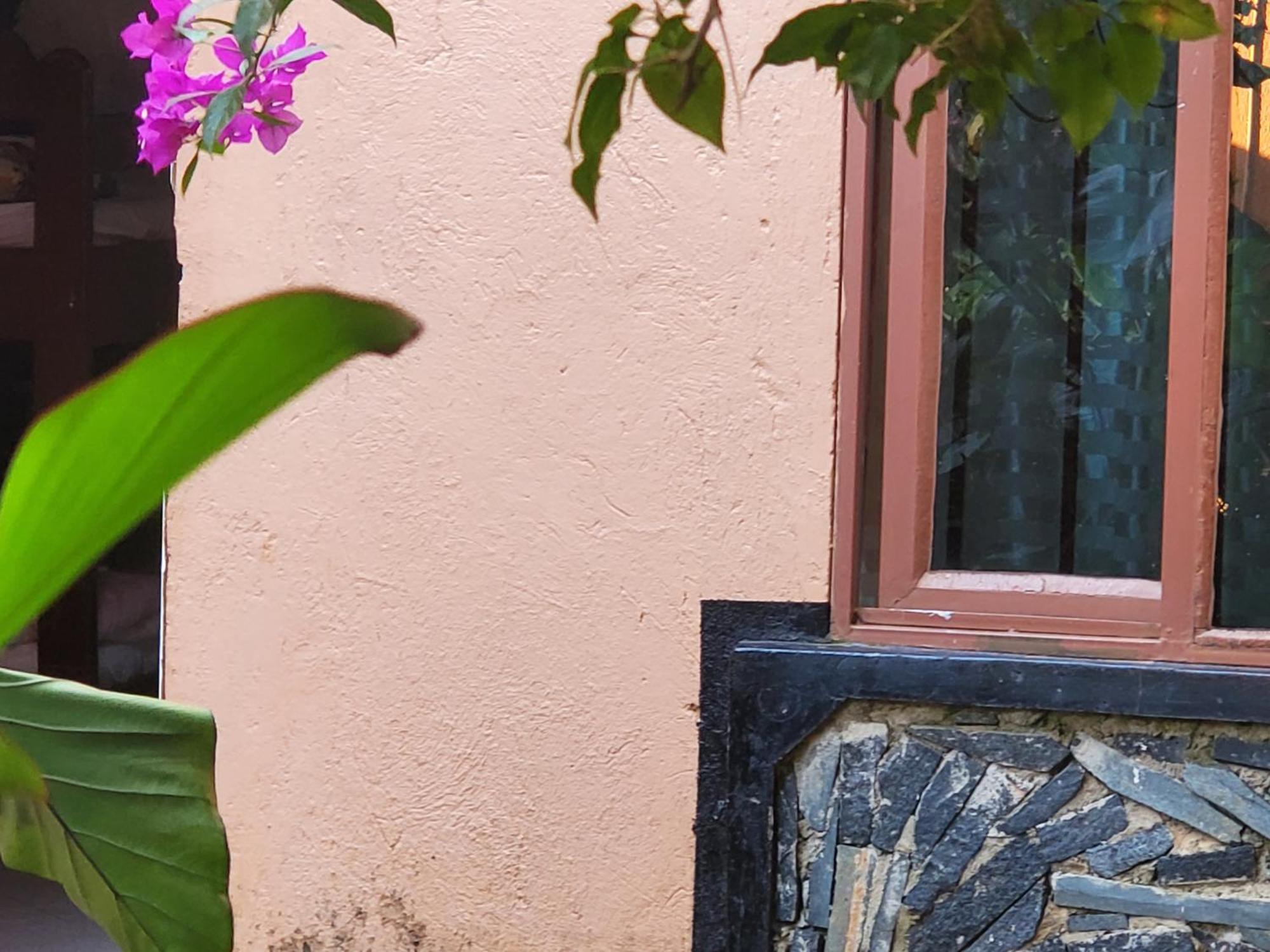 Gorilla African Guest House Энтеббе Экстерьер фото