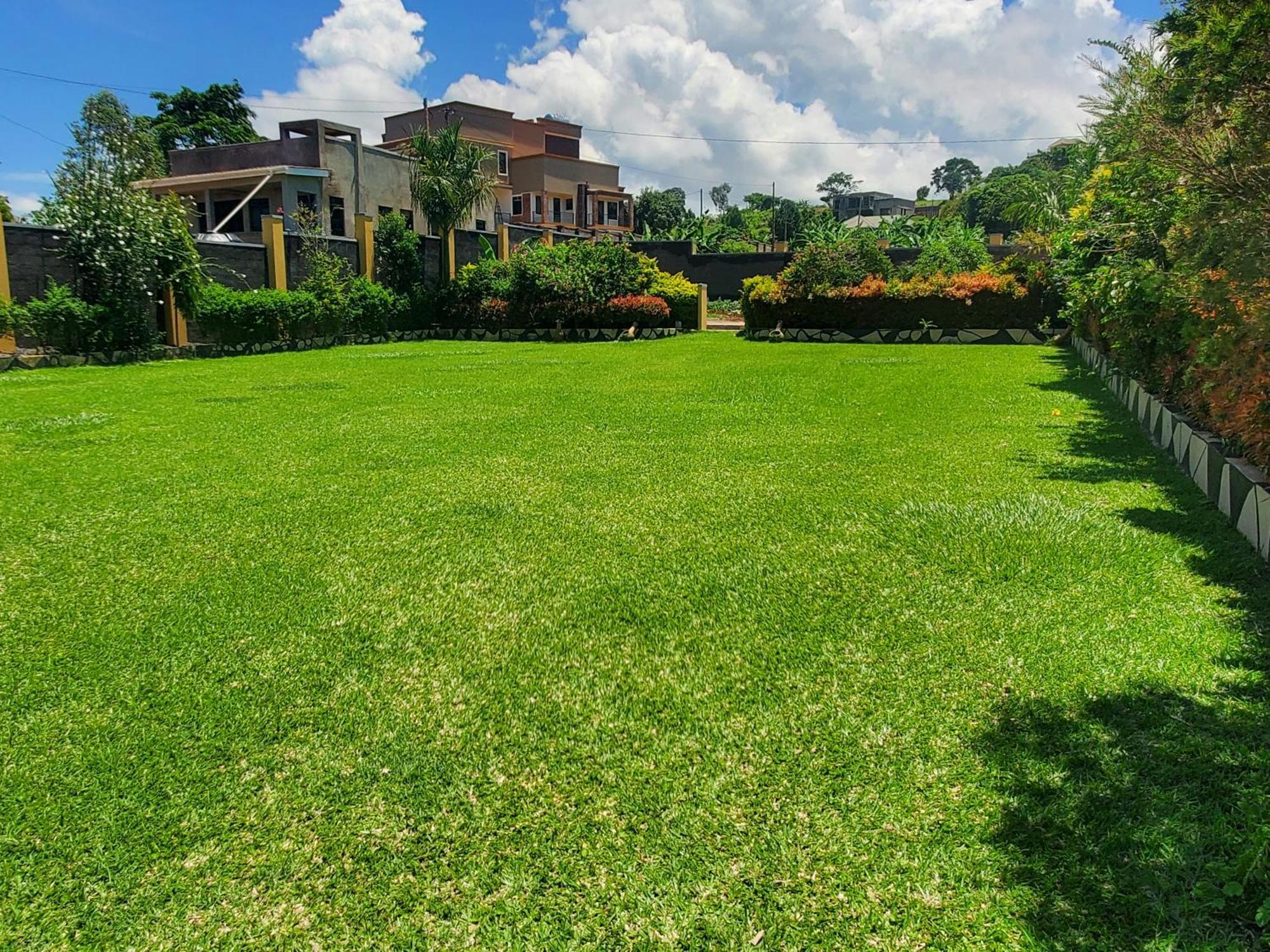 Gorilla African Guest House Энтеббе Экстерьер фото